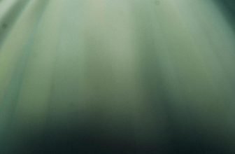 measuring progress beyond weight