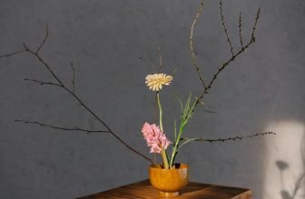 mindfulness in managing emotions